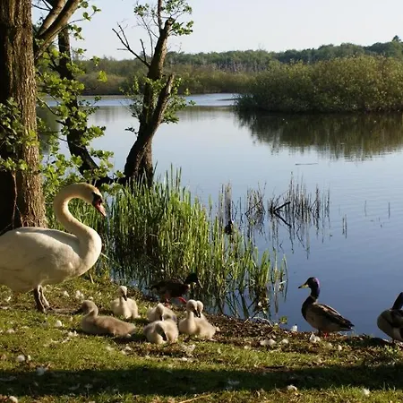 מלון דירות Pokoje Goscinne Holtur Podczele