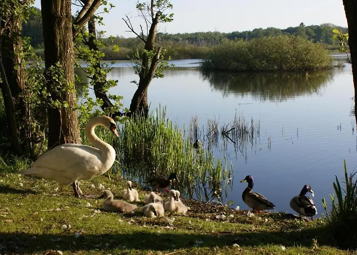 Apartahotel Pokoje Goscinne Holtur Podczele